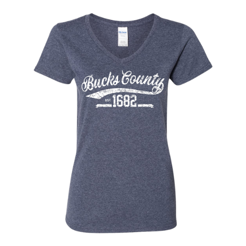 Ladies V-Neck Tee