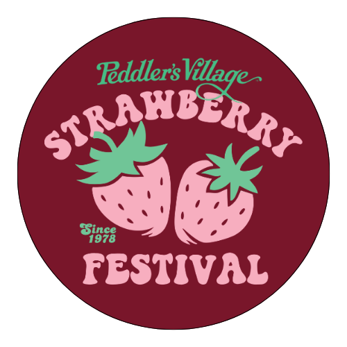 Festival Vinyl Magnets