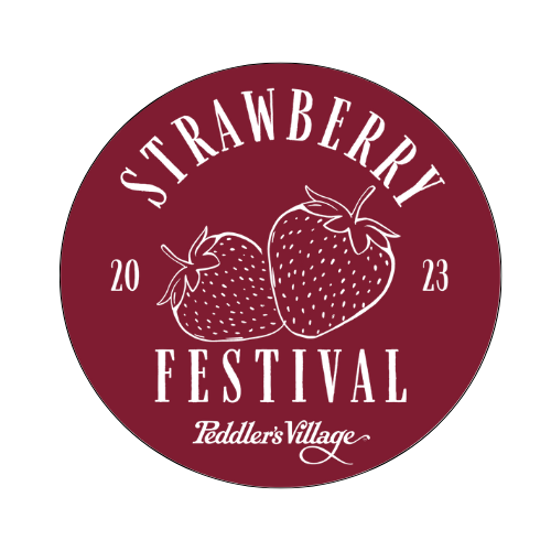 Festival Vinyl Magnets