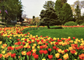 Postcards of Peddler's Village