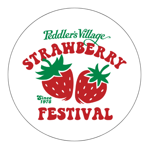 Festival Vinyl Magnets