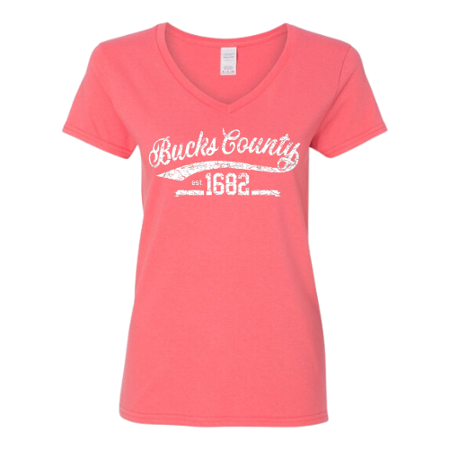 Ladies V-Neck Tee