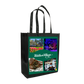Silk Village Tote