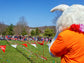 Old Fashioned Easter Egg Hunt & Professional Photo with Easter Bunny