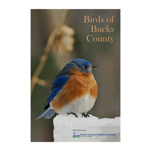 Birds of Bucks County