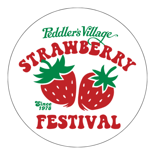 Festival Vinyl Magnets
